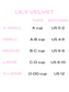 Size chart for tops and bottoms by Lily Velvet on a white background